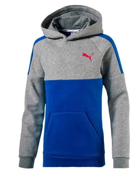 Sudadera Junior Puma Style Azul