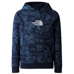 Sudadera the north face Drew Peak Light P/O Hoodie Boy